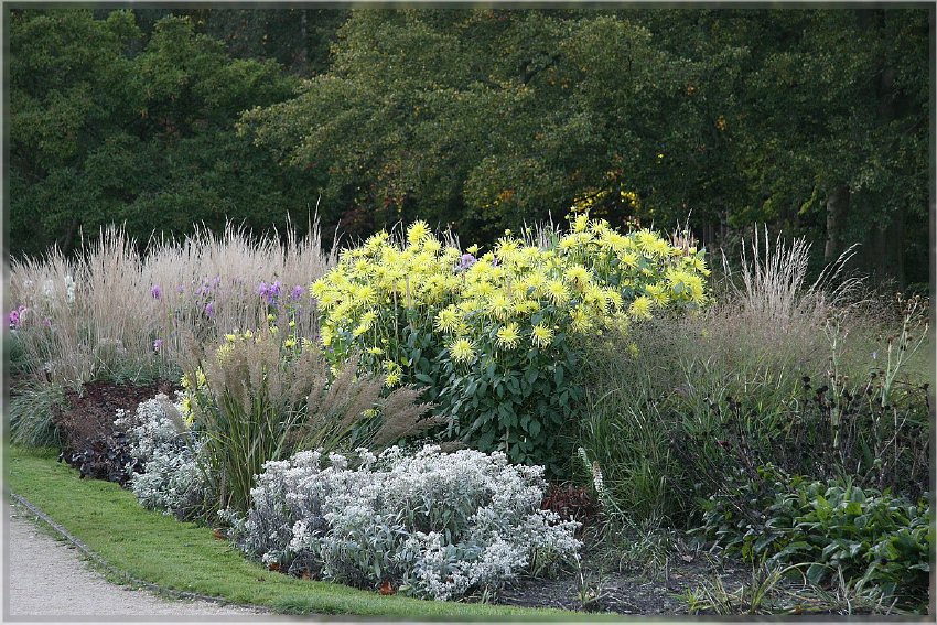 Botanischer Garten - Guetersloh_ IMG_5039