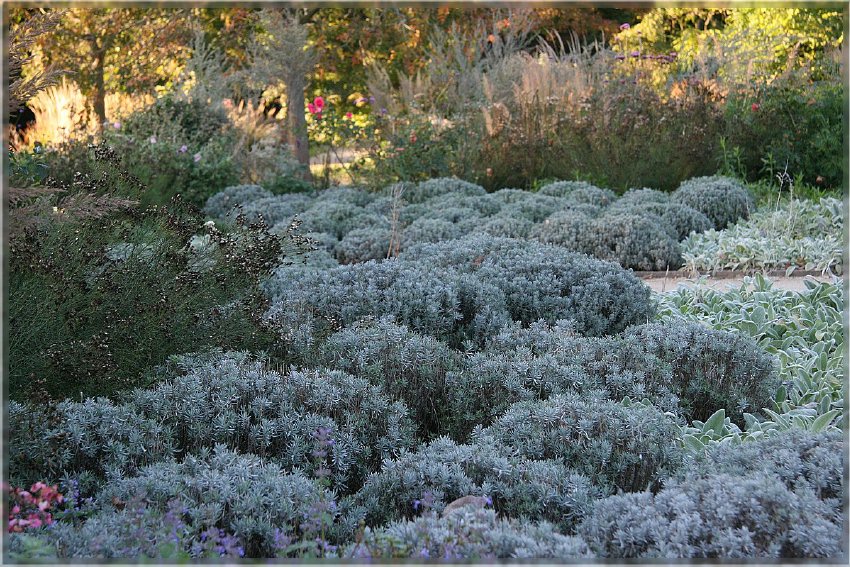 Botanischer Garten - Guetersloh_ IMG_5035