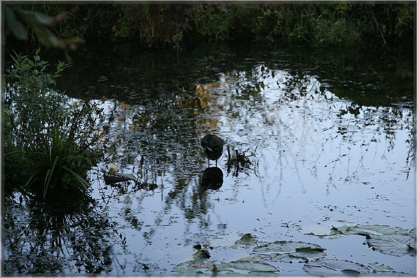 Botanischer Garten - Guetersloh_ IMG_5023