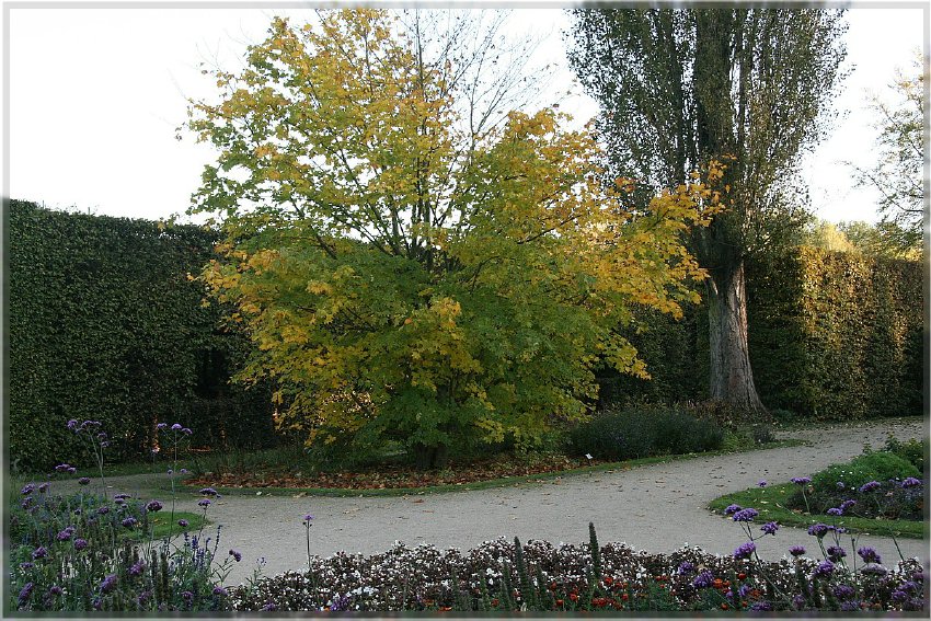 Botanischer Garten - Guetersloh_ IMG_5048