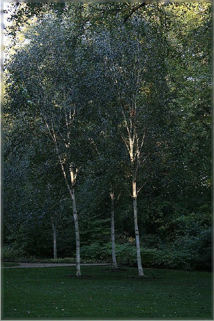 Botanischer Garten - Guetersloh_ IMG_5065