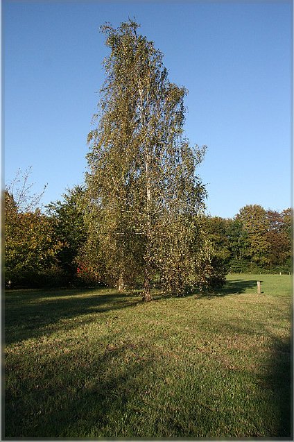 Botanischer Garten - Guetersloh_ IMG_5026