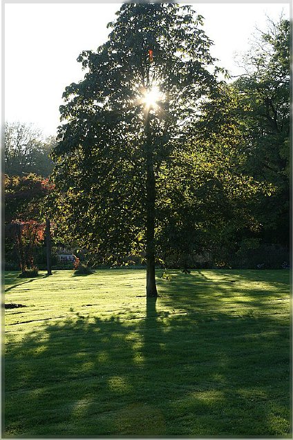 Botanischer Garten - Guetersloh_ IMG_5068