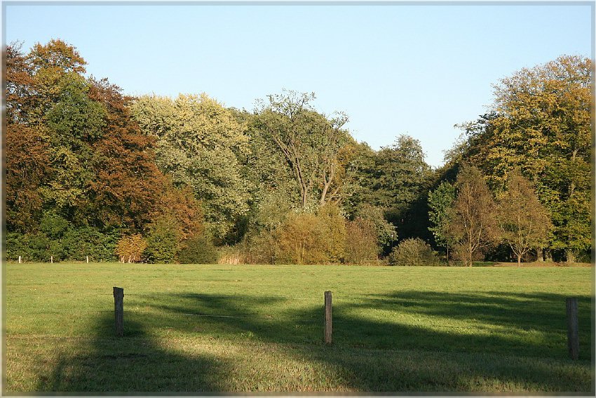 Botanischer Garten - Guetersloh_ IMG_5027